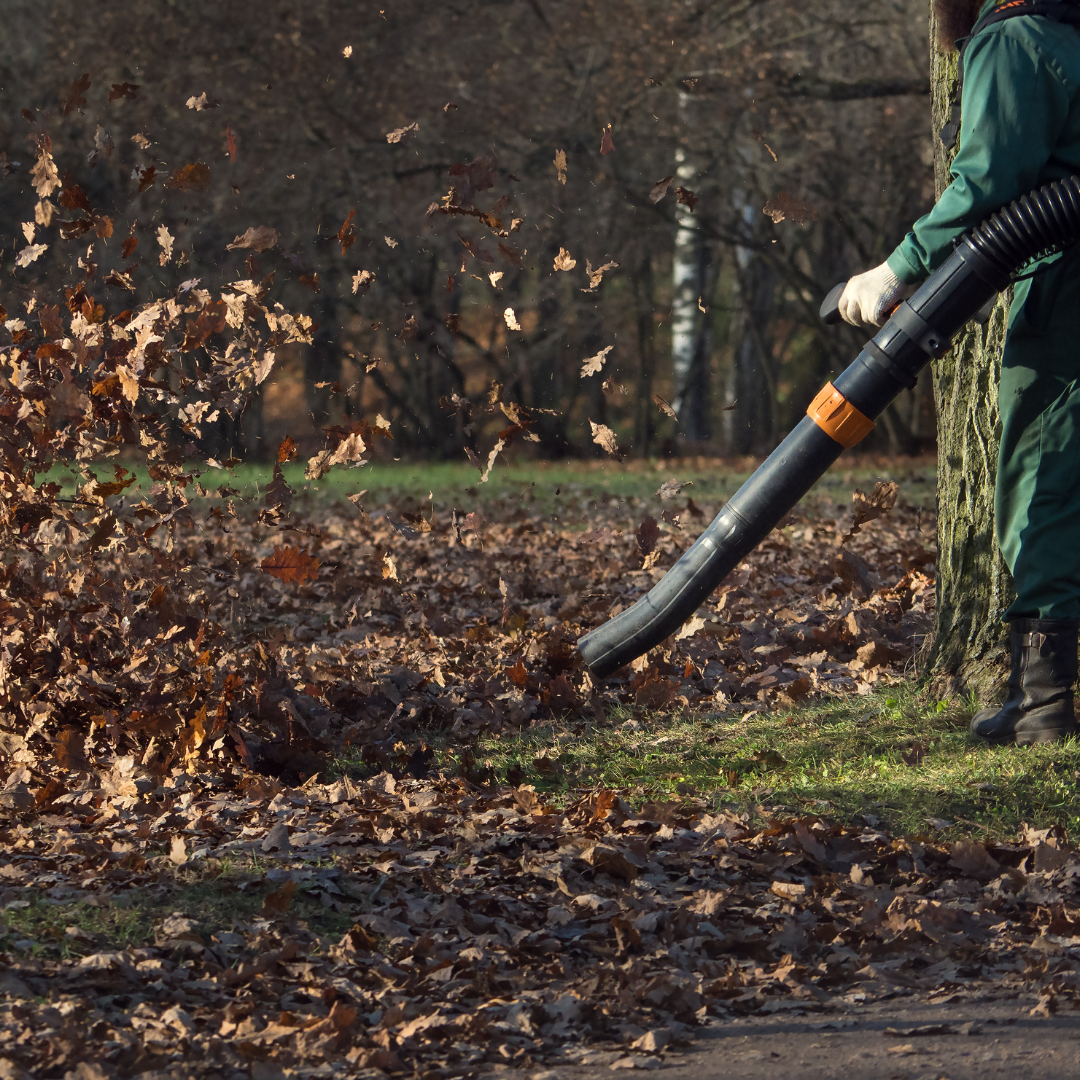 seasonal leaf blowing