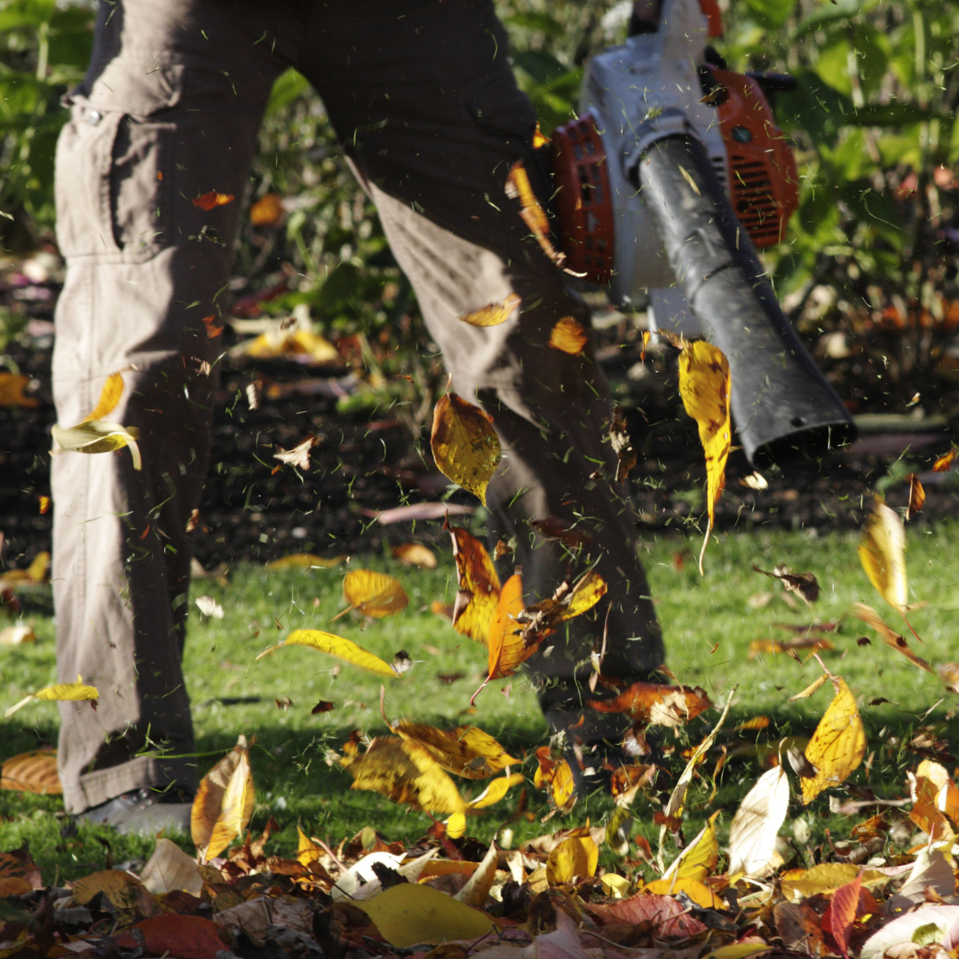seasonal leaf blowing